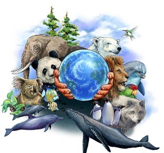 You are currently viewing 4 октября в мире отмечают Всемирный день защиты животных.